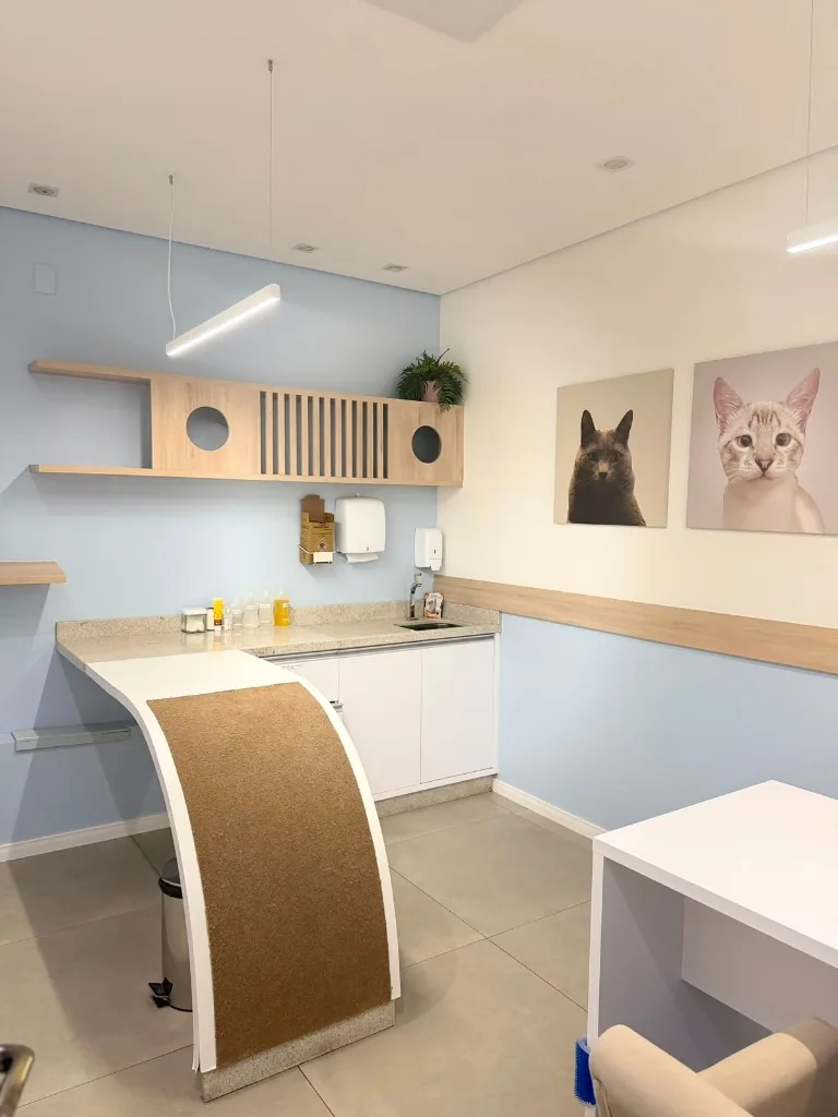 Consultório felino adaptado para consultas veterinárias na Anibem Hospital Veterinário 24h